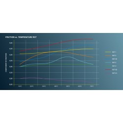 Pastiglie freno PAGID RACING RST 1