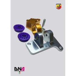 Abarth 500-DNA Racing "Fast road" engine support distribution side kit