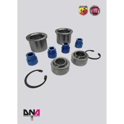 Abarth 500-DNA Racing rear axle uniball kit