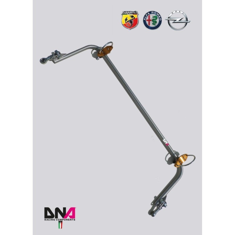 Abarth Grande Punto-DNA Racing rear adjustable torsion bar kit