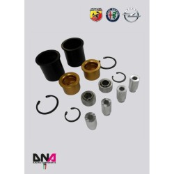 Abarth Grande Punto-Rear axle uniball kit DNA Racing