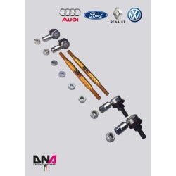 Ford Fiesta Mk7 (08-17)-DNA Racing Pro Street adjustable sway bar tie rods kit