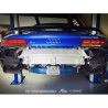 Audi R8 MK2 V10 PLUS - Scarico sportivo FI Exhaust con valvole