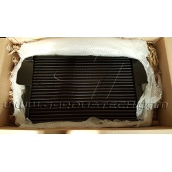 Intercooler Pro Alloy per Megane 3 RS