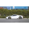 Ferrari 458 Speciale/Speciale A - Scarico sportivo FI Exhaust con valvole