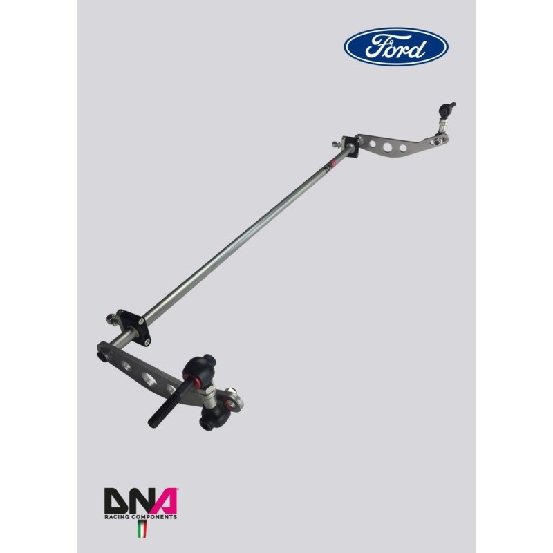 Ford Fiesta Mk7 (08-17)-DNA Racing rear adjustable torsion bar ø 20x3mm kit