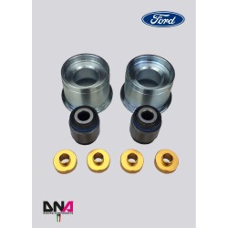 Ford Fiesta Mk7 (08-17)-DNA Racing rear axle uniball kit