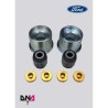 Ford Fiesta Mk7 (08-17)-DNA Racing rear axle uniball kit