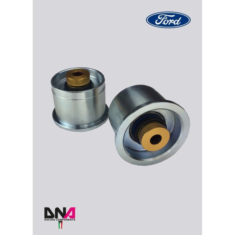 Ford Fiesta Mk8 (17-)-DNA Racing rear axle uniball kit