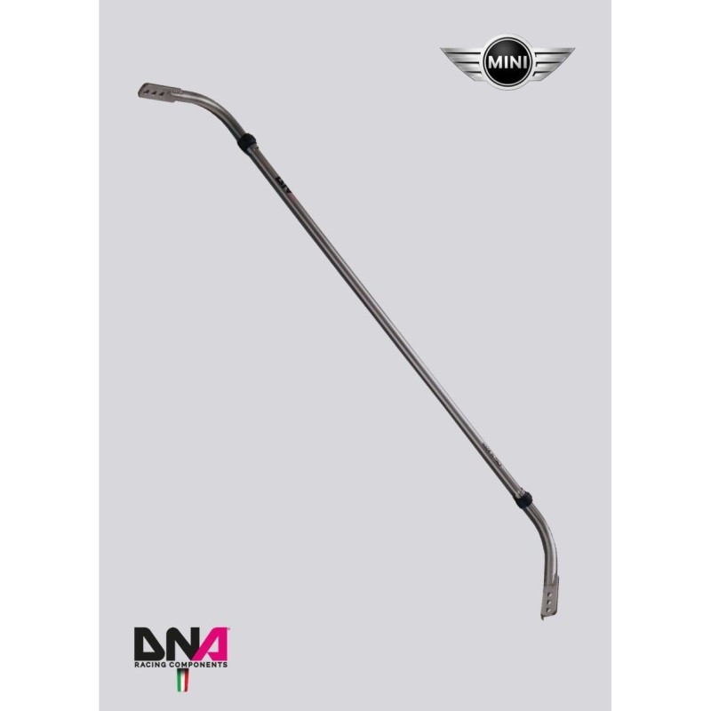 Mini Cooper R50-R52-R53-Kit barra antirollio posteriore diametro 22mm registrabile DNA Racing