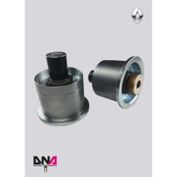 Renault Clio 3-DNA Racing rear axle uniball kit