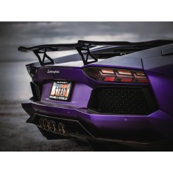 Lamborghini Aventador LP700-4 Volcano Firetador Version - Valvetronic FI Exhaust