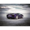 Lamborghini Aventador LP700-4 Volcano Firetador Version - Valvetronic FI Exhaust