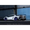 Lamborghini Aventador LP750-4 SV - Scarico sportivo FI Exhaust con valvole