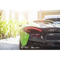 McLaren 570S / 570GT / 540C Coupe / Spider - Scarico sportivo FI Exhaust con valvole