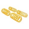 ST Suspension ST Sport Springs lowering springs