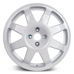 EVOCorse SB9 Ragno glossy white