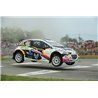 Braid Full Race Rallycross wheels